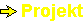>Projekt